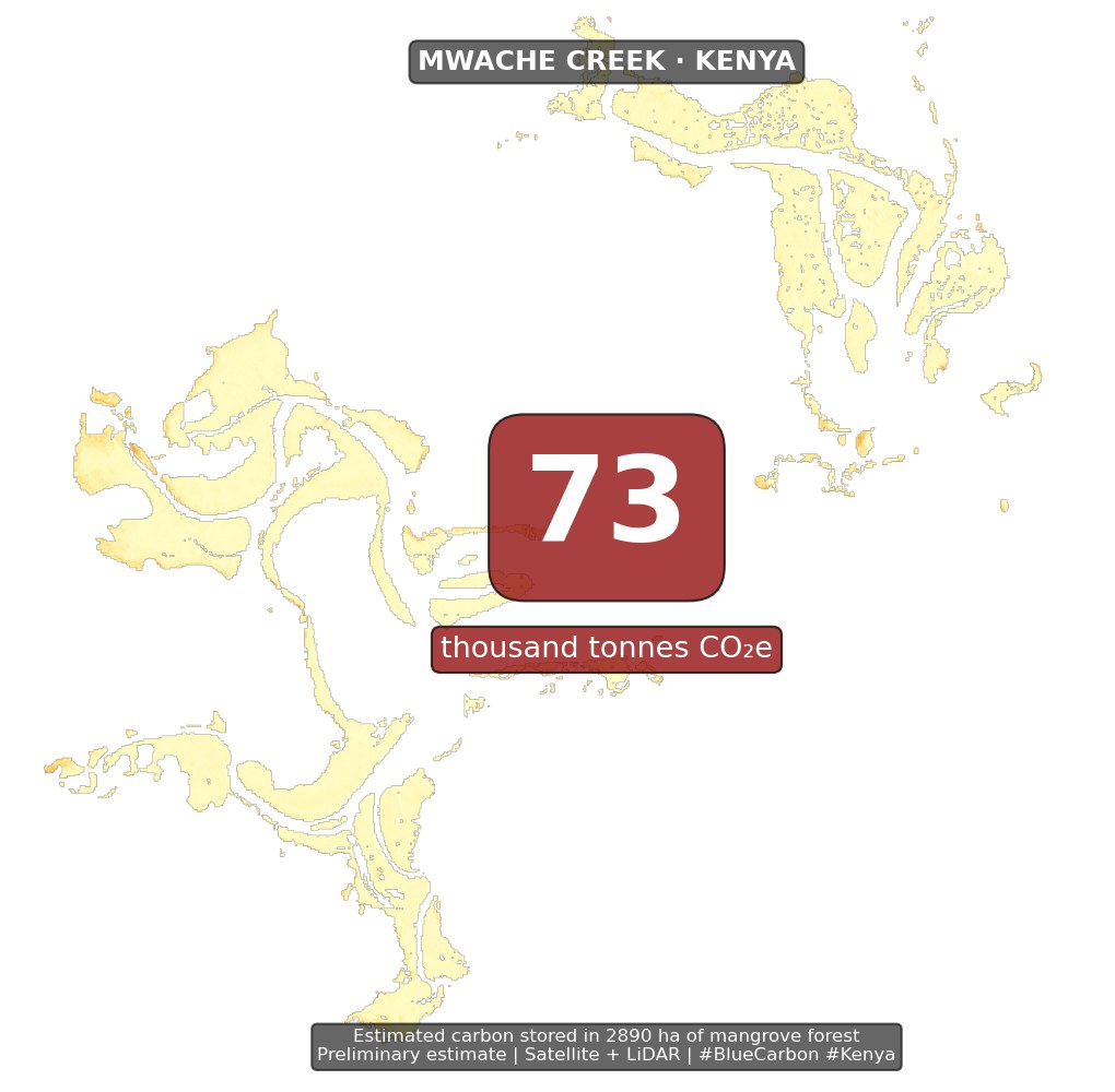Preliminary estimate of carbon stored in Mwache Creek mangroves